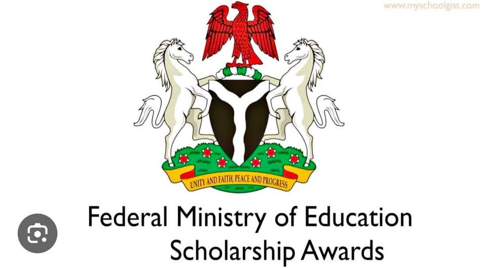 NANS President to Engage Federal Scholarship Board Over Delayed Scholarship Payments